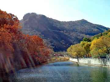 突發(fā)性面癱治療詳解，全面解析及應(yīng)對(duì)策略