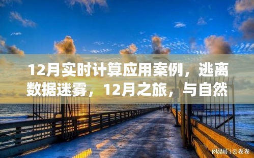 12月實(shí)時(shí)計(jì)算應(yīng)用案例，數(shù)據(jù)迷霧中的逃離之旅與自然美景的實(shí)時(shí)對(duì)話(huà)