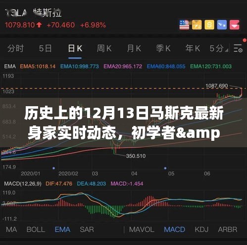 揭秘馬斯克最新身家動(dòng)態(tài)，歷史上的12月13日追蹤詳解與初學(xué)者進(jìn)階指南