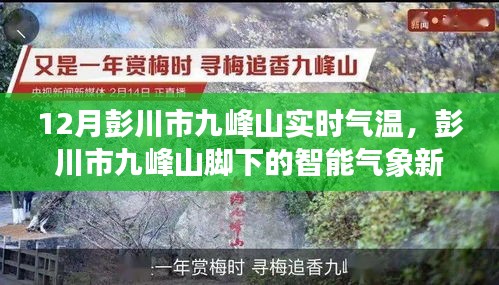 彭川市九峰山實(shí)時(shí)氣溫監(jiān)測(cè)，智能氣象新紀(jì)元引領(lǐng)生活新風(fēng)尚