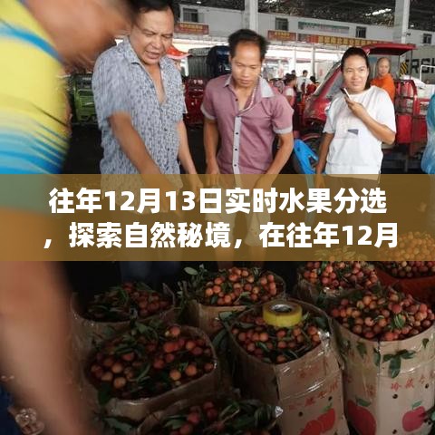 探索自然秘境，水果盛宴中的寧靜與平和體驗
