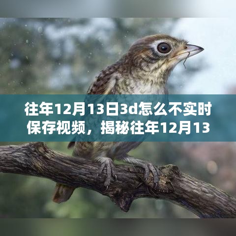揭秘，為何往年12月13日3D技術未能實時保存視頻的背后真相