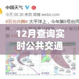 與實時出行共舞，12月實時公共交通查詢指南