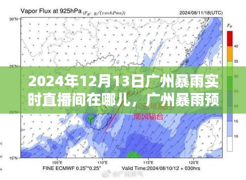 地老天荒 第3頁(yè)