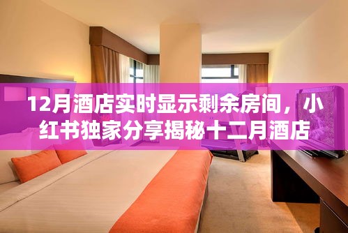 揭秘十二月酒店實(shí)時(shí)房態(tài)顯示秘籍，小紅書獨(dú)家分享，輕松預(yù)訂心儀住宿！