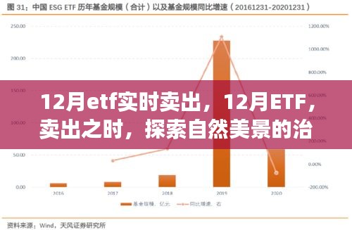 12月ETF實(shí)時(shí)賣出，探索自然美景的治愈之旅