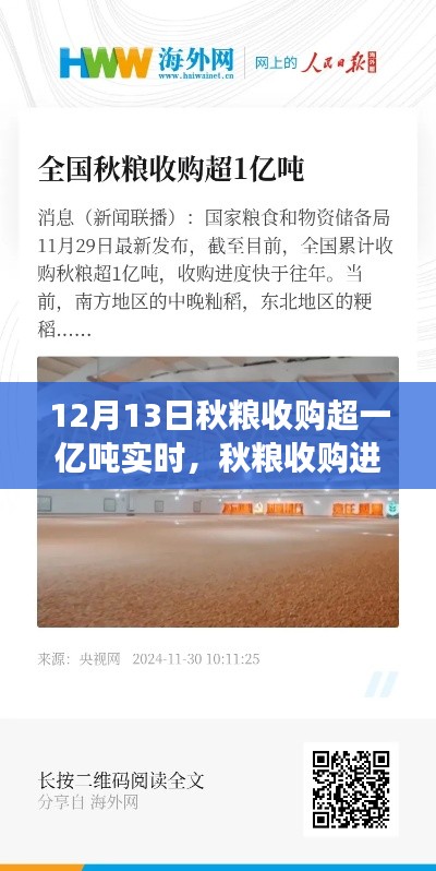 秋糧收購進(jìn)展順利，截至12月13日實(shí)時收購量超一億噸的綜合分析