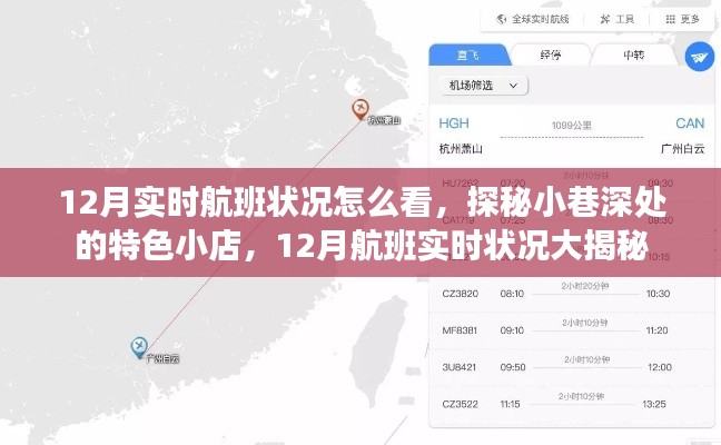 探秘小巷深處的特色小店與揭秘十二月航班實時狀況，飛行指南與深度體驗