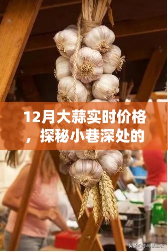 探秘小巷深處的蒜香樂園，揭秘大蒜實時價格走勢，洞悉市場變化