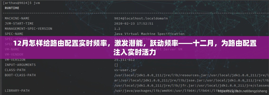 十二月路由配置實時優(yōu)化，激發(fā)潛能，躍動頻率，注入實時活力