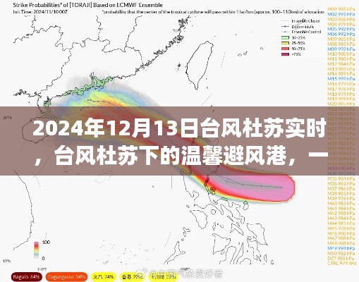 臺(tái)風(fēng)杜蘇下的夏日奇遇，友情避風(fēng)港實(shí)時(shí)報(bào)道 2024年12月13日