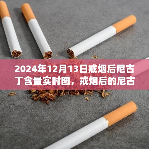 戒煙后尼古丁含量變化深度解讀，實(shí)時(shí)圖揭示戒煙過程尼古丁含量變化軌跡（圖文詳解）
