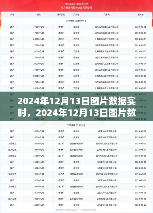 2024年12月13日?qǐng)D片數(shù)據(jù)實(shí)時(shí)獲取與處理步驟指南，從初學(xué)者到進(jìn)階用戶的全面指南