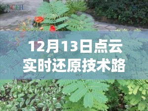 點(diǎn)云實(shí)時(shí)還原技術(shù)路線圖揭秘，未來(lái)科技新篇章的開(kāi)啟者