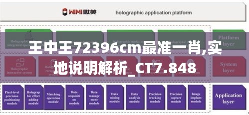 王中王72396cm最準一肖,實地說明解析_CT7.848