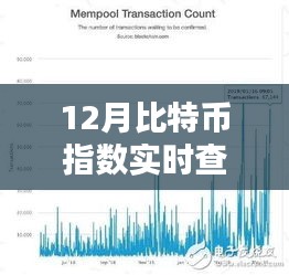 12月比特幣指數(shù)實(shí)時(shí)查詢，全面評(píng)測(cè)與詳細(xì)介紹