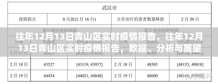 往年12月13日青山區(qū)疫情實時報告，數(shù)據(jù)、分析與未來展望