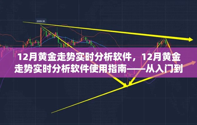從入門到進(jìn)階，12月黃金走勢(shì)實(shí)時(shí)分析軟件使用指南與深度解析