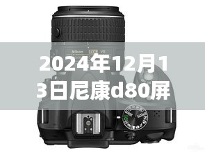 尼康D80相機(jī)屏幕實(shí)時(shí)預(yù)覽功能詳解與技術(shù)指南，前沿技術(shù)與操作指南（2024年12月版）