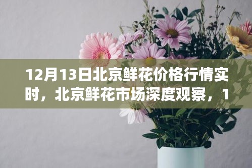 北京鮮花市場(chǎng)深度觀察，12月13日鮮花價(jià)格行情實(shí)時(shí)解析與行情深度探討
