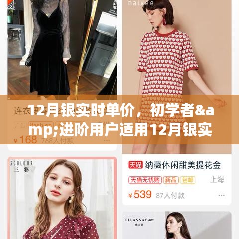 12月銀實時單價查詢與監(jiān)控指南，適合初學(xué)者與進階用戶的步驟指南
