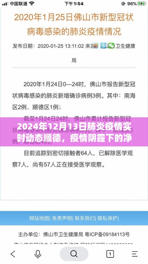 順德疫情動態(tài)與心靈洗滌之旅，探索凈土，直面肺炎疫情的挑戰(zhàn)