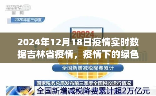 吉林省疫情下的綠色避風(fēng)港與心靈寧靜的自然探索之旅（實時數(shù)據(jù)更新）