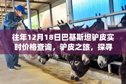 巴基斯坦驢皮價格實時查詢，探尋自然美景與內(nèi)心寧靜之旅