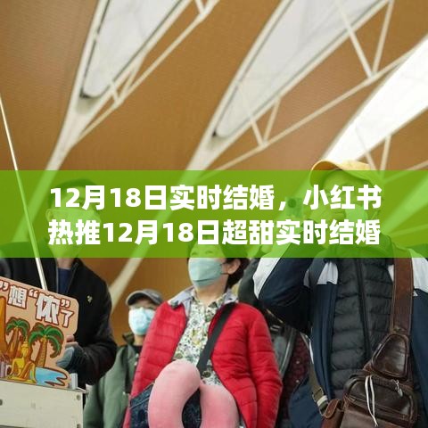棄文就武 第3頁(yè)
