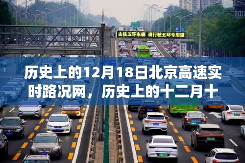 物稀為貴 第3頁(yè)