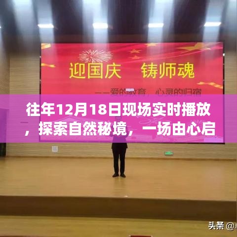 探索自然秘境，一場由心啟航的旅行盛宴，相約自然之門的盛宴