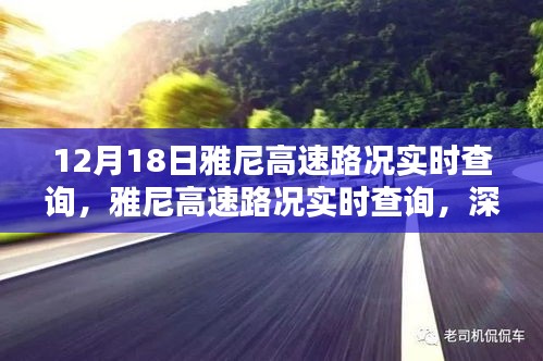 雅尼高速路況實(shí)時(shí)查詢深度解析與觀點(diǎn)闡述，最新路況信息，不容錯(cuò)過！