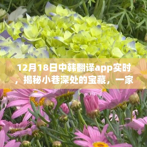 中韓翻譯App帶你探尋小巷深處的寶藏，特色小店的秘密