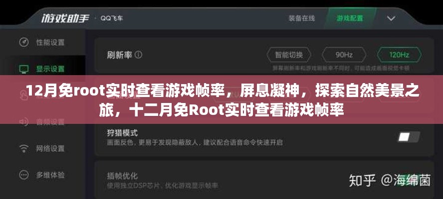十二月免Root實(shí)時(shí)查看游戲幀率，屏息凝神，探索自然美景的游戲之旅
