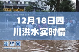 四川洪水退去后的寧?kù)o美景，探索一次遠(yuǎn)離塵囂的心靈之旅（實(shí)時(shí)更新）