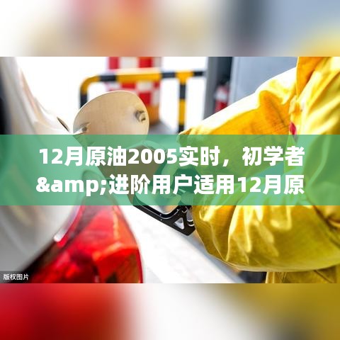 初學(xué)者與進(jìn)階用戶指南，如何實(shí)時(shí)關(guān)注并洞察原油市場動(dòng)態(tài)（2023年12月版）