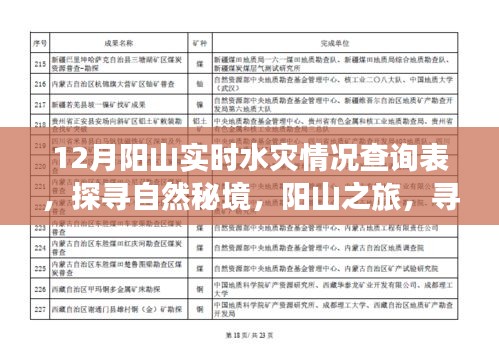 探尋自然秘境，陽(yáng)山之旅遭遇水災(zāi)，實(shí)時(shí)情況查詢(xún)與內(nèi)心力量的尋找
