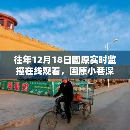 揭秘固原小巷深處的特色小店，實時監(jiān)控在線觀看的冬日探索