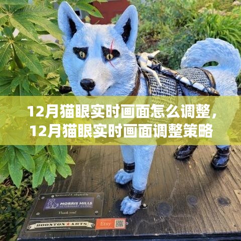 專業(yè)解析，12月貓眼實時畫面調整策略與實時調整技巧