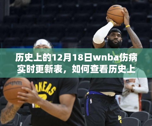 歷史上的12月18日WNBA傷病實(shí)時(shí)更新表詳解，查看指南與步驟梳理