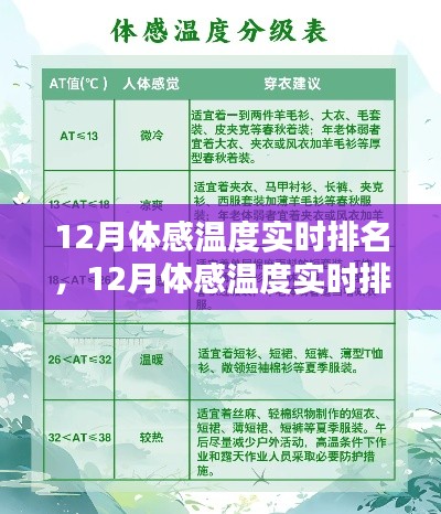12月體感溫度實(shí)時(shí)排名查詢?nèi)ヂ裕瑥娜腴T到精通的步驟指南