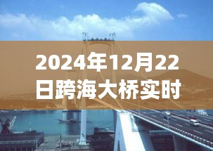 跨海大橋壯麗景色與寧靜之旅，實時探尋橋梁下的秘密之旅（2024年跨海大橋?qū)崟r報道）
