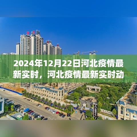 河北疫情最新實(shí)時(shí)動態(tài)觀察報(bào)告，多維度視角解讀與深度分析（2024年12月22日觀察點(diǎn)）