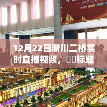 冬日淅川二橋之旅，追尋自然美景與內(nèi)心寧?kù)o的直播之旅
