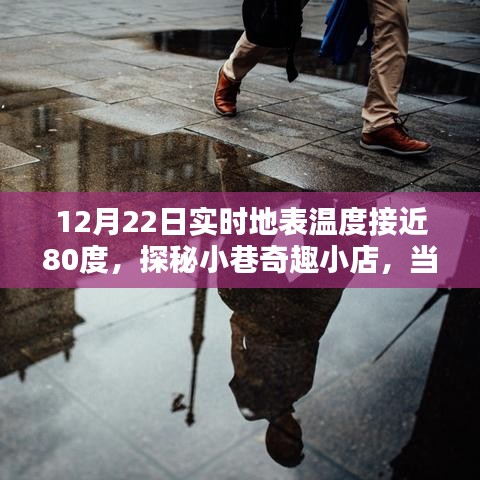 雍容典雅 第3頁