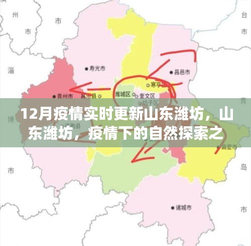 山東濰坊疫情下的自然探索之旅，尋找內(nèi)心的寧靜與力量，實(shí)時(shí)更新疫情動(dòng)態(tài)