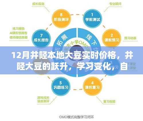 井陘大豆躍升，把握12月新機(jī)遇，實(shí)時(shí)價(jià)格與學(xué)習(xí)變化展現(xiàn)自信閃耀