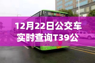 一花獨(dú)放 第3頁(yè)