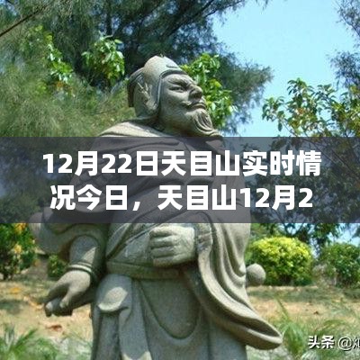 天目山12月22日實(shí)時(shí)情況探析，某某觀(guān)點(diǎn)下的深度闡述
