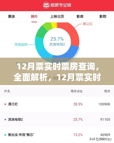 全面解析與深度評(píng)測(cè)，12月票實(shí)時(shí)票房查詢應(yīng)用